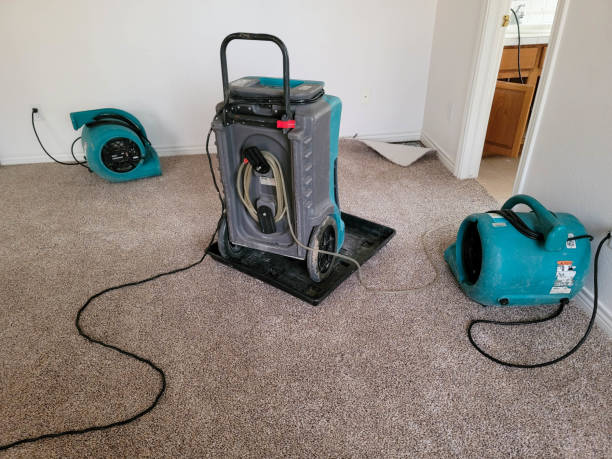 Best 24-hour water damage restoration  in Madison, GA