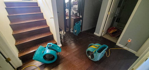 Best Residential water damage restoration  in Madison, GA