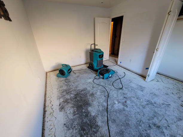 Best Water damage restoration cost  in Madison, GA