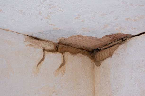 Best Local water damage restoration  in Madison, GA