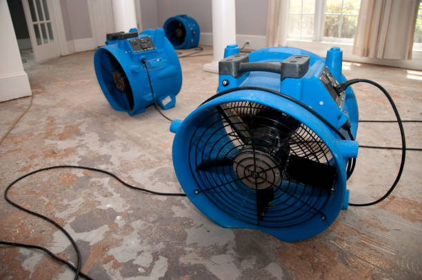 Best Water damage cleanup near me  in Madison, GA