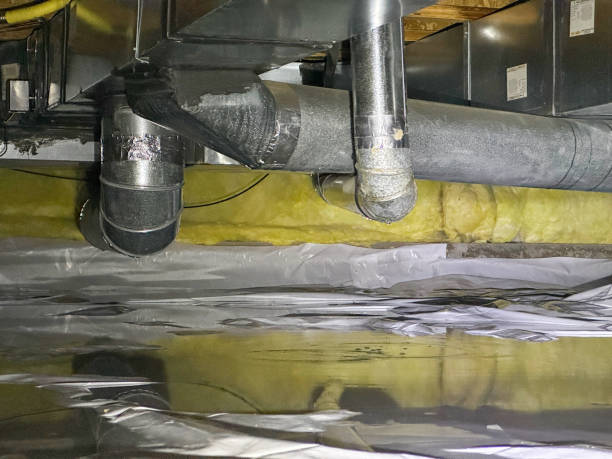 Best Basement water damage restoration  in Madison, GA