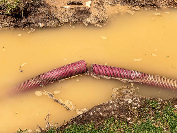 Best Water damage mitigation services  in Madison, GA