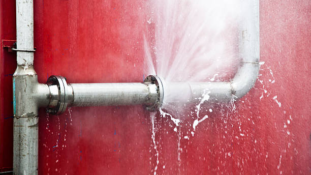 Best Water damage contractors near me  in Madison, GA